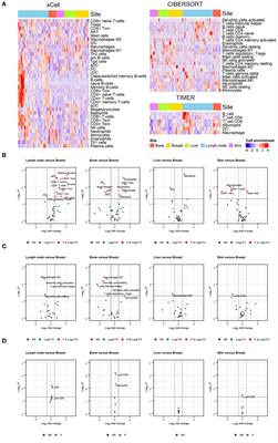 Differences in Tumor Immune Microenvironment in Metastatic Sites of Breast Cancer